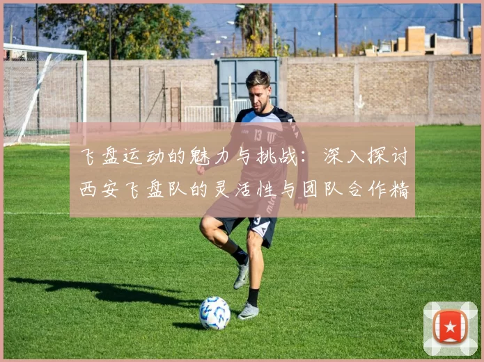 飞盘运动的魅力与挑战：深入探讨西安飞盘队的灵活性与团队合作精神