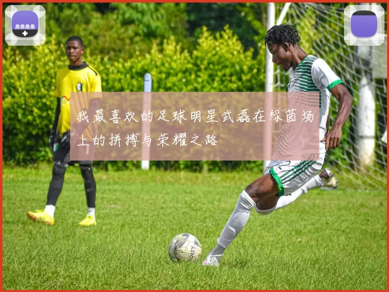 我最喜欢的足球明星武磊在绿茵场上的拼搏与荣耀之路