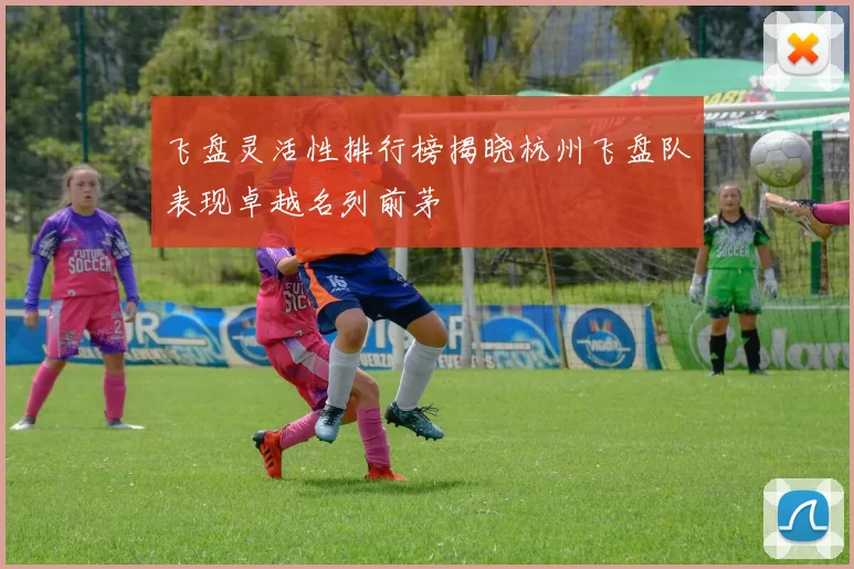 飞盘灵活性排行榜揭晓杭州飞盘队表现卓越名列前茅