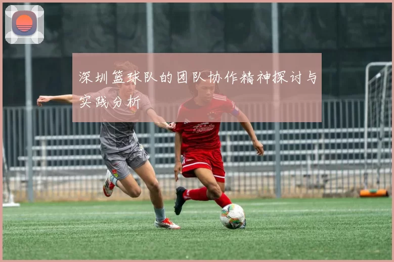 深圳篮球队的团队协作精神探讨与实践分析