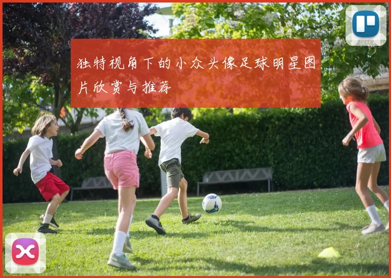 独特视角下的小众头像足球明星图片欣赏与推荐